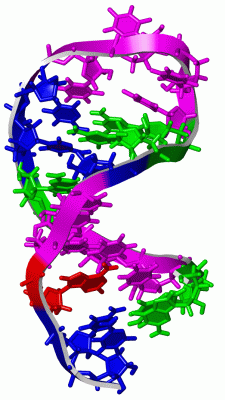 Image NMR Structure - manually