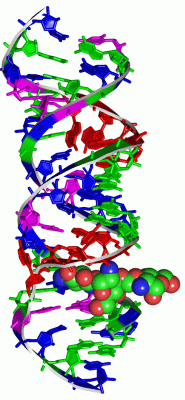 Image Asym./Biol. Unit - manually