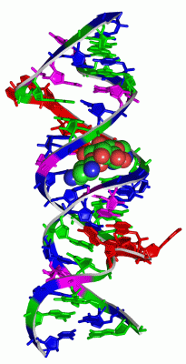 Image Asym./Biol. Unit - manually