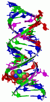 Image Asym./Biol. Unit - manually