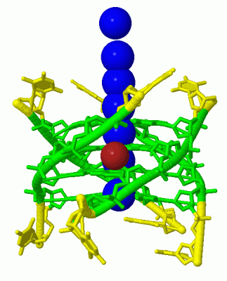 Image Biol.Unit 1 - manually