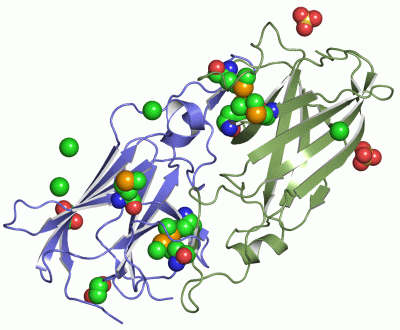 Image Asym./Biol. Unit - manually