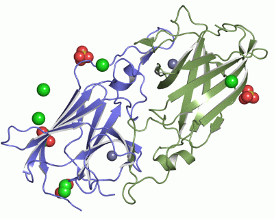 Image Asym./Biol. Unit - manually