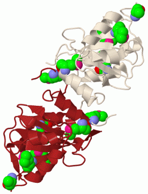 Image Biol.Unit 1 - manually