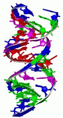 Image Asym./Biol. Unit - manually