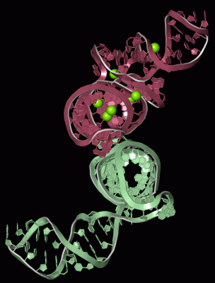 Image Biol.Unit 1 - manually