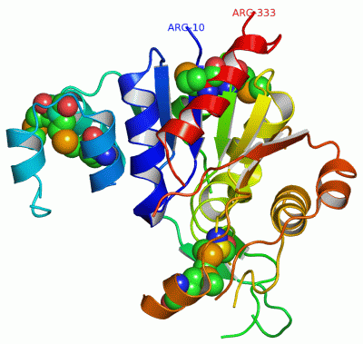 Image Asym./Biol. Unit - manually