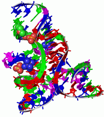 Image Asym./Biol. Unit - manually