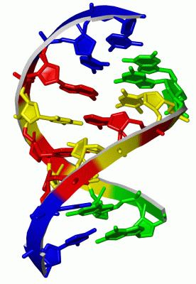 Image Asym./Biol. Unit - manually