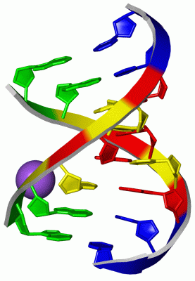 Image Asym./Biol. Unit - manually