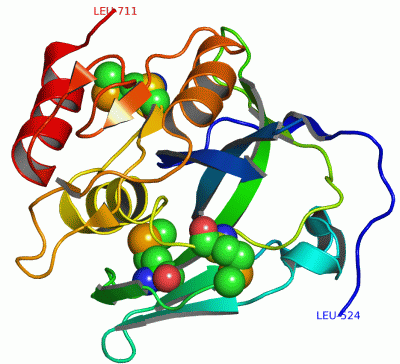 Image Asym./Biol. Unit - manually