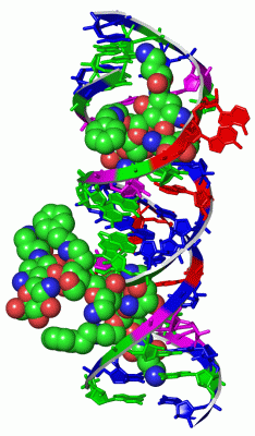 Image Asym./Biol. Unit - manually