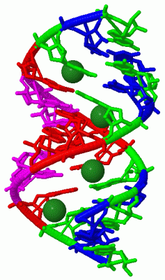 Image Biol.Unit 1 - manually