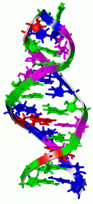 Image NMR Structure - manually