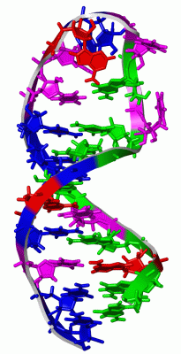 Image NMR Structure - manually