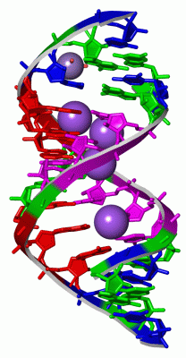 Image Asym./Biol. Unit - manually