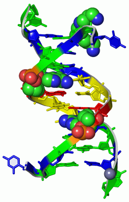 Image Asym./Biol. Unit - manually