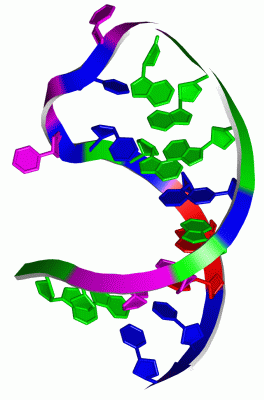 Image NMR Structure - manually