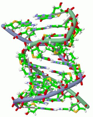 Image Biol.Unit 1 - manually