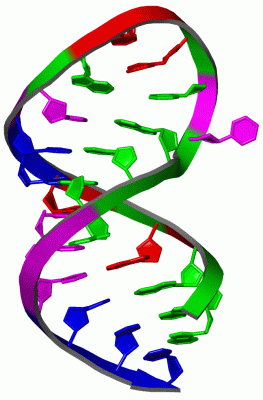 Image NMR Structure - manually