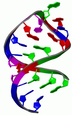 Image NMR Structure - manually