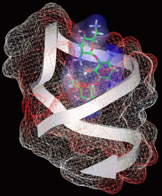 Image NMR Structure - manually