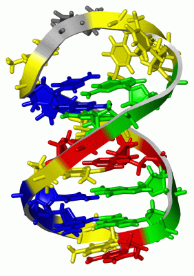 Image NMR Structure - manually