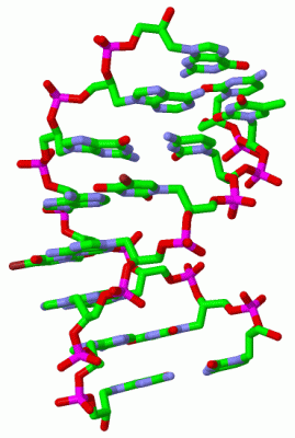 Image Biol.Unit 1 - manually