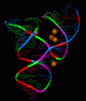 Image Asym./Biol. Unit - manually