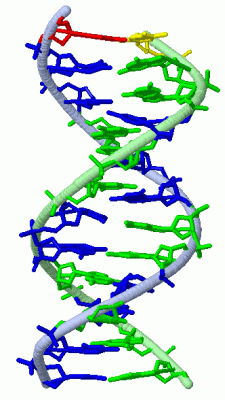 Image Asym./Biol. Unit - manually