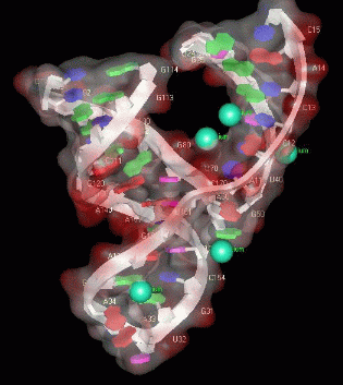 Image Asym./Biol. Unit - manually