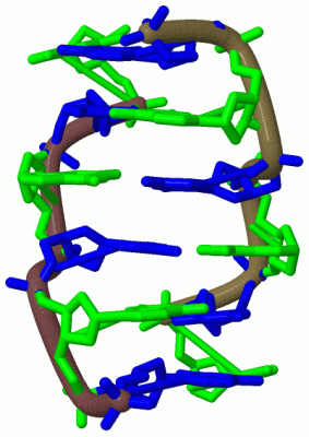 Image Biol.Unit 1 - manually