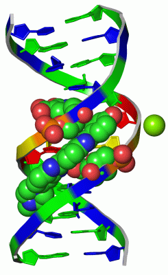 Image Asym./Biol. Unit - manually