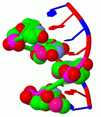 Image Biol.Unit 1 - manually