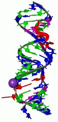 Image Asym./Biol. Unit - manually