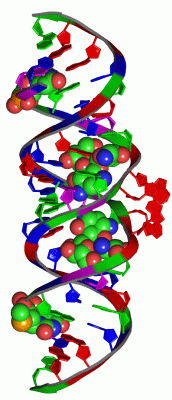 Image Asym./Biol. Unit - manually