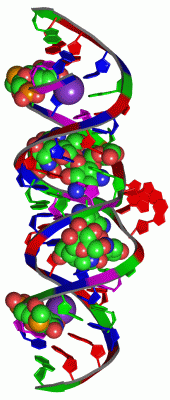 Image Asym./Biol. Unit - manually