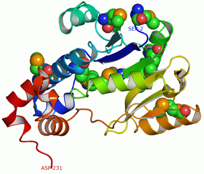 Image Asym./Biol. Unit - manually