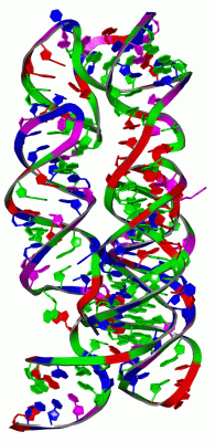 Image Asym./Biol. Unit - manually