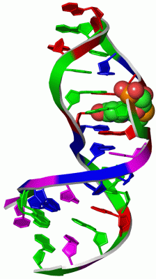 Image Asym./Biol. Unit - manually