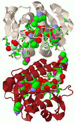 Image Biol.Unit 1 - manually