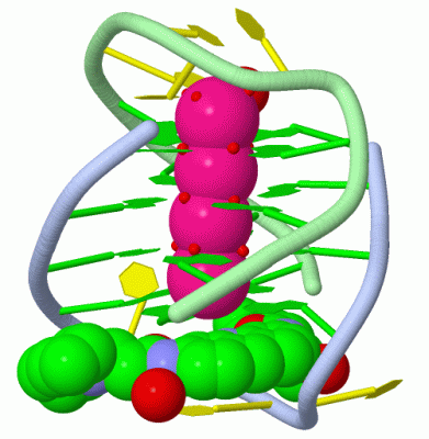 Image Asym./Biol. Unit - manually