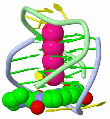 Image Asym./Biol. Unit - manually