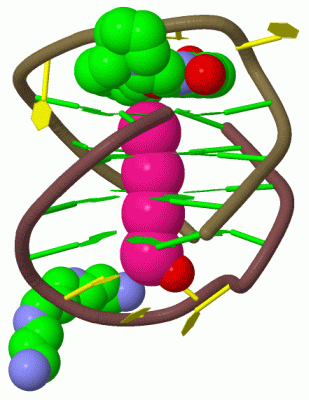 Image Biol.Unit 1 - manually