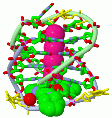 Image Asym./Biol. Unit - manually