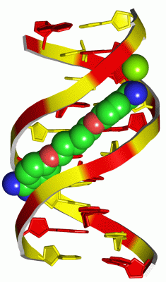 Image Asym./Biol. Unit - manually