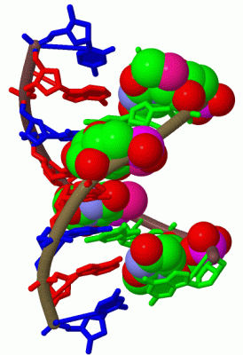 Image Biol.Unit 1 - manually