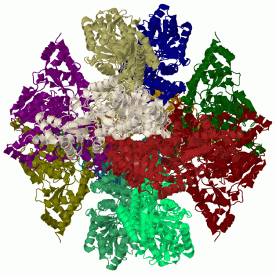 Image Biol.Unit 1 - manually