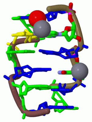 Image Biol.Unit 1 - manually