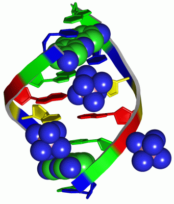 Image Asym./Biol. Unit - manually